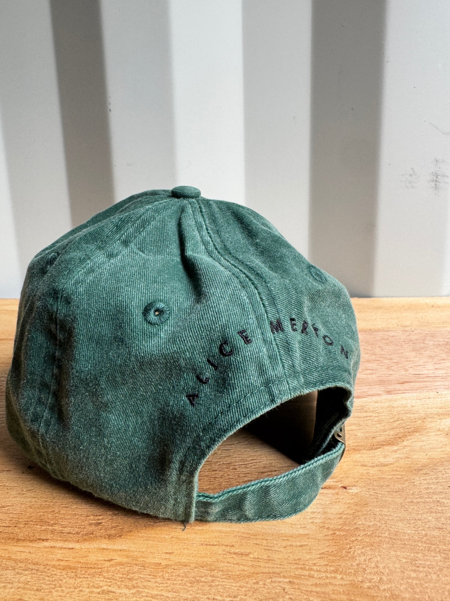 Visions Cap